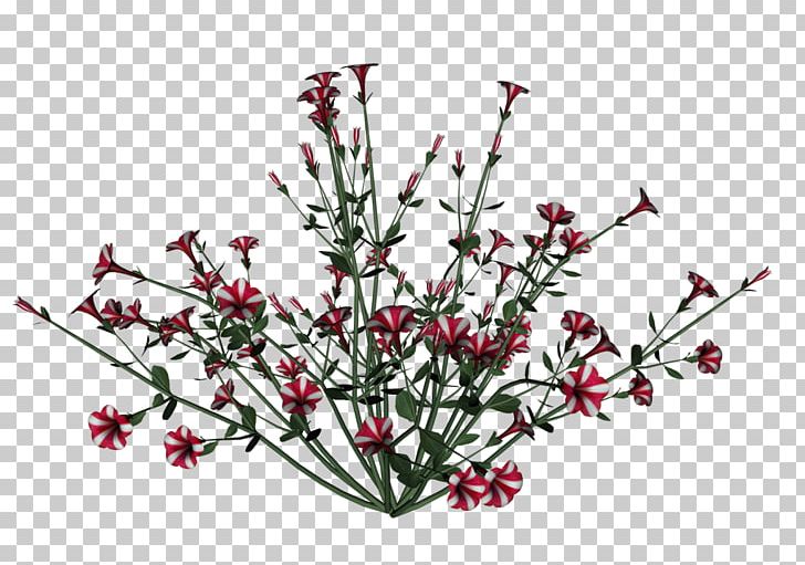 Branch Others Plant Stem PNG, Clipart, Branch, Cut Flowers, Document, Download, Flora Free PNG Download