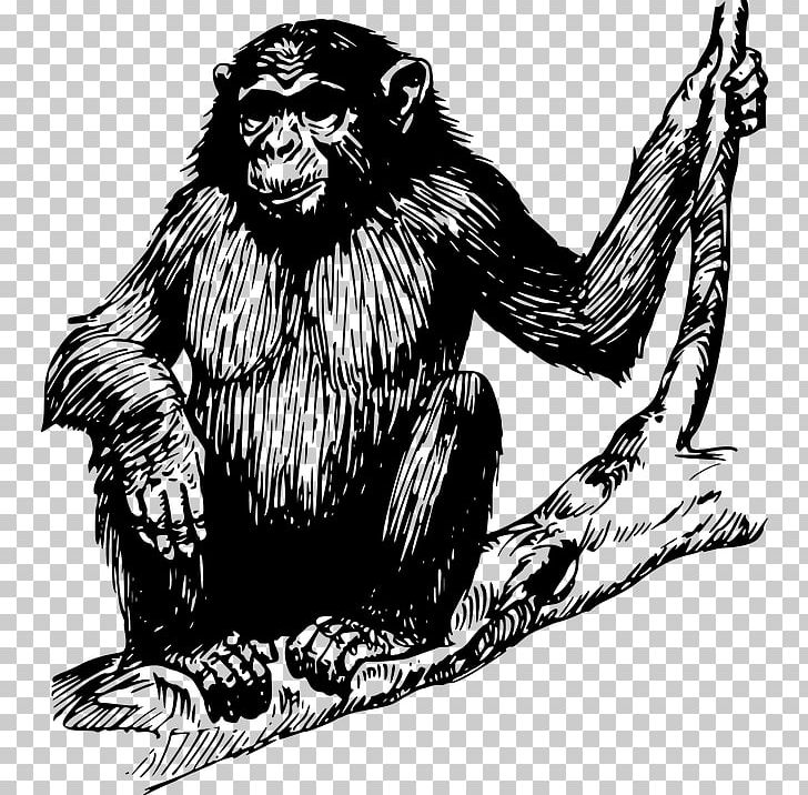 Ape Gorilla Chimpanzee PNG, Clipart, Animal, Animals, Anime Character, Anime Girl, Black Free PNG Download