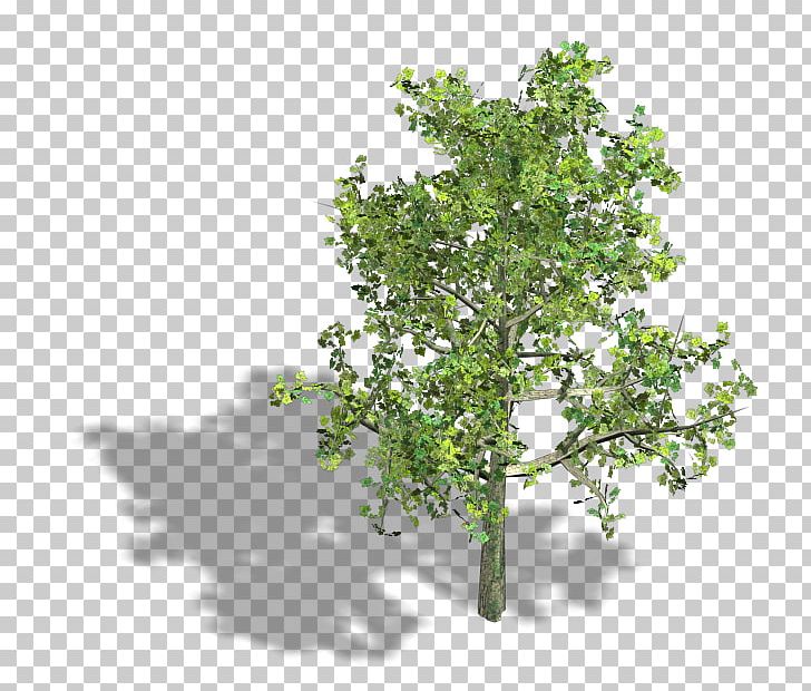 Branch Isometric Projection Axonometric Projection Tree Isometric Graphics In Video Games And Pixel Art PNG, Clipart, 2d Computer Graphics, Axonometric Projection, Banyan, Branch, Change Free PNG Download