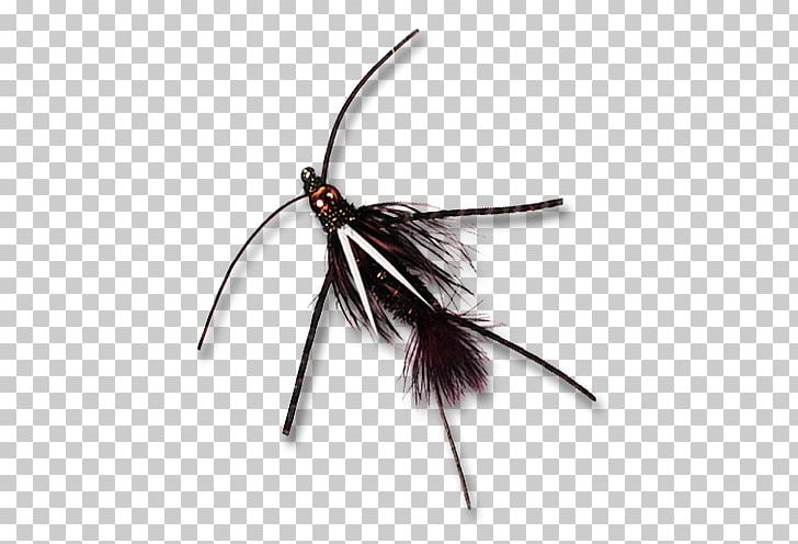 Insect Nymph Fly Fishing Prince Gigabyte PNG, Clipart, Animals, Fly Fishing, Fly Shop, Gigabyte, Insect Free PNG Download