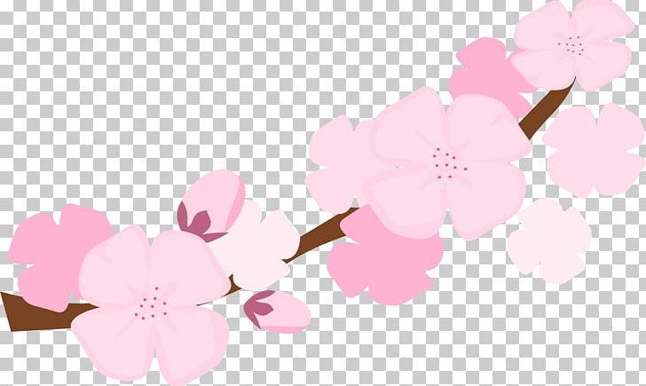National Cherry Blossom Festival PNG, Clipart, Blossom, Blossoms Cliparts, Cherry, Cherry Blossom, Clip Art Free PNG Download