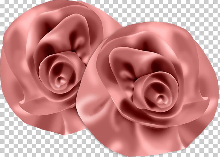 PhotoScape GIMP PNG, Clipart, Desktop Wallpaper, Download, Floral Design, Flower, Garden Roses Free PNG Download