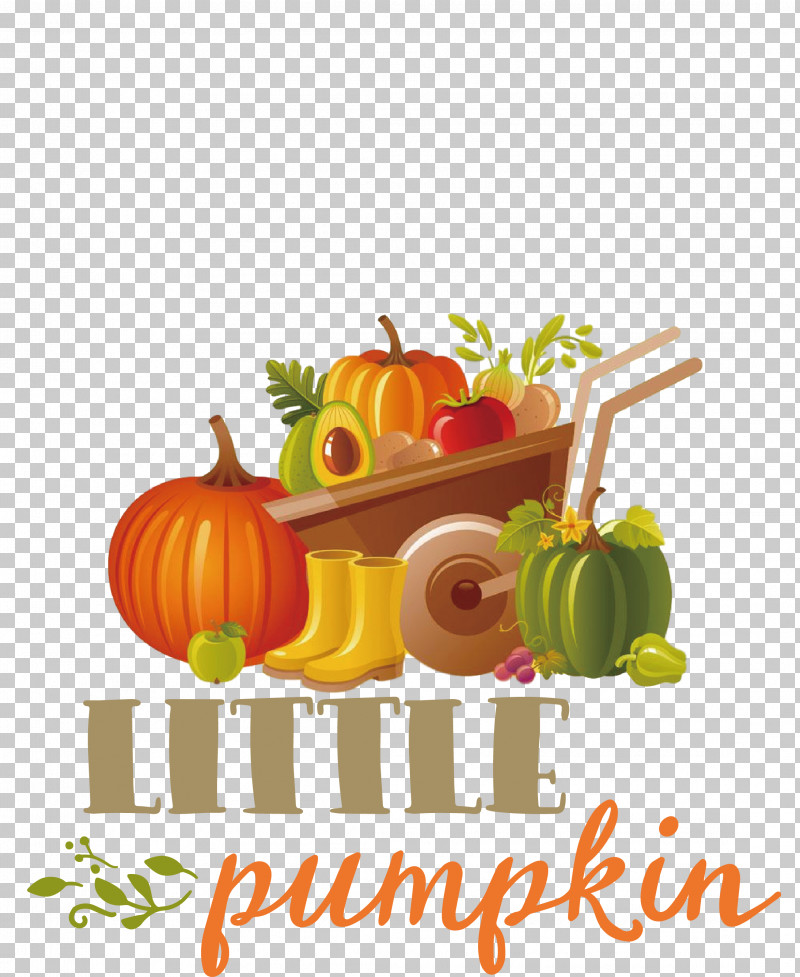 Little Pumpkin Thanksgiving Autumn PNG, Clipart, Autumn, Avocado, Cooking, Dried Fruit, Fresh Vegetable Free PNG Download
