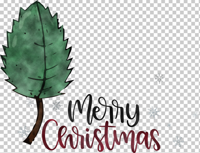 Merry Christmas PNG, Clipart, Biology, Leaf, Merry Christmas, Plants, Plant Structure Free PNG Download