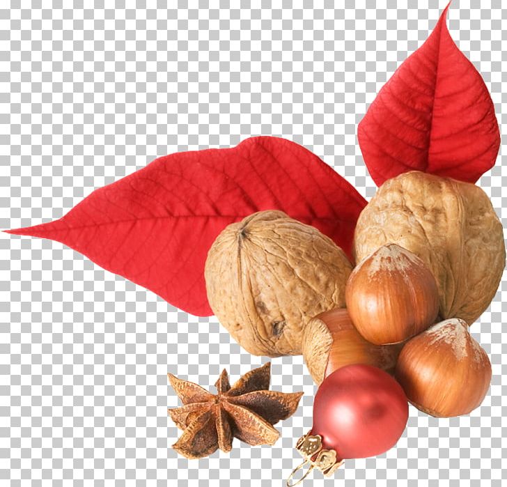 Hazelnut PNG, Clipart, Chestnut, Christmas, Christmas Ornament, Digital Image, Download Free PNG Download