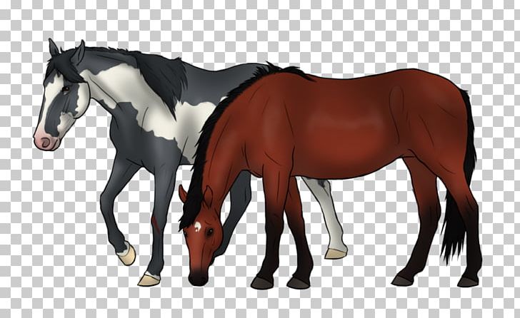 Mare Mustang Foal Rein Mane PNG, Clipart,  Free PNG Download