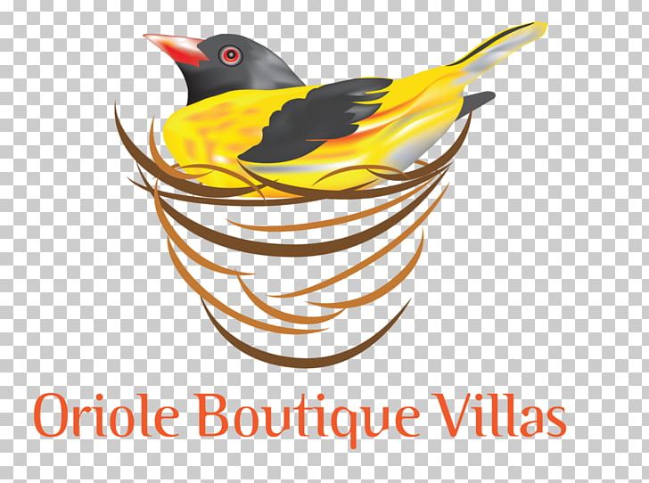 Bentota Oriole Boutique Villas Boutique Hotel Ventura Beach PNG, Clipart, Artwork, Beach, Beak, Bentota, Bird Free PNG Download