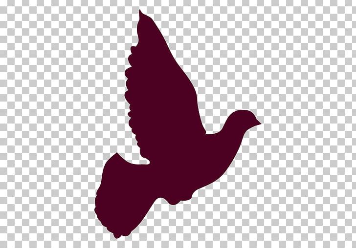 Columbidae Silhouette Doves As Symbols PNG, Clipart, Animals, Beak, Bird, Columbidae, Computer Icons Free PNG Download