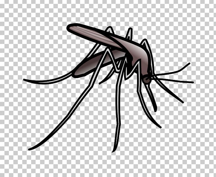 Mosquito Web Browser PNG, Clipart, Arthropod, Artwork, Black And White, Chironomidae, Document Free PNG Download