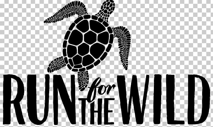 Sea Turtle Tortoise Logo Douchegordijn PNG, Clipart, Brand, Calendar, Curtain, Douchegordijn, Logo Free PNG Download