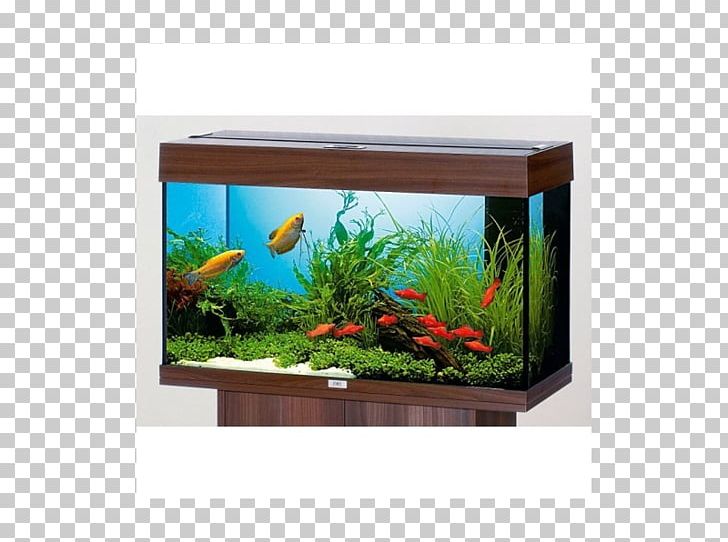 Aquarium Filters Fishkeeping Glass Heater PNG, Clipart, Aquarium, Aquarium Decor, Aquarium Filters, Aquarium Sklorex Spol Sro, Aquatic Plant Free PNG Download