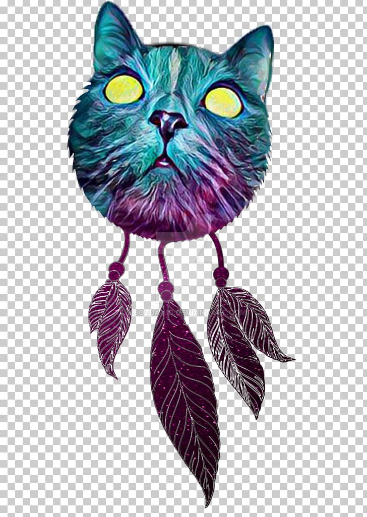 Cat Whiskers Carnivora Pet Animal PNG, Clipart, Animal, Black Cat, Carnivora, Carnivoran, Cat Free PNG Download