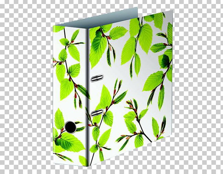 Twig Plant Stem Leaf Rectangle PNG, Clipart, Branch, Flora, Green, Leaf, Plant Free PNG Download