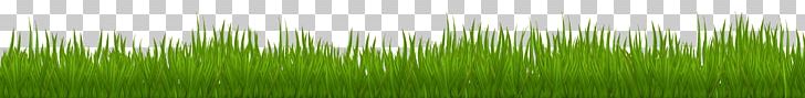 Wheatgrass Green Leaf Plant Stem PNG, Clipart, Clip Art, Clipart, Family, Grass, Grasses Free PNG Download