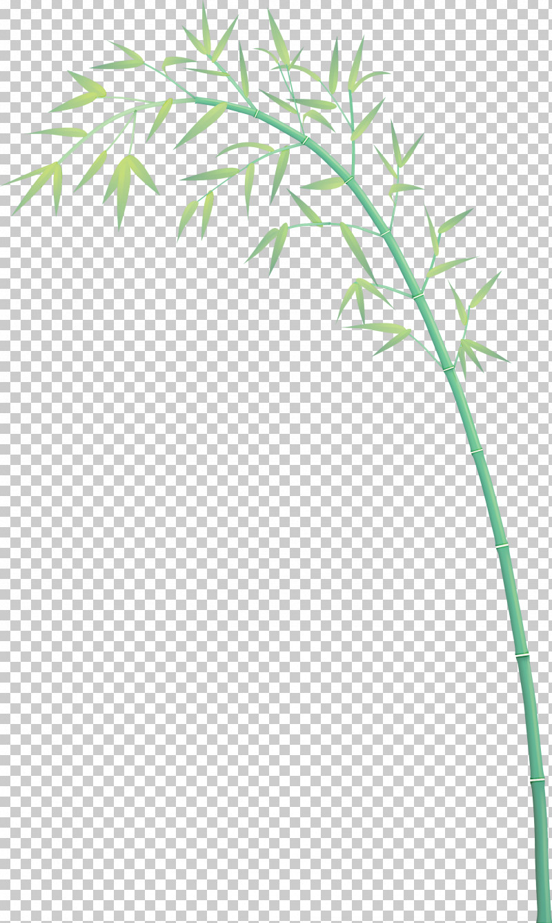 Bamboo Leaf PNG, Clipart, Bamboo, Flower, Grass, Grass Family, Leaf Free PNG Download