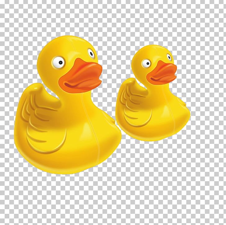 Cyberduck File Transfer Protocol MacOS WiX Property List PNG, Clipart, Animals, Bird, Cartoon, Changelog, Computer Free PNG Download