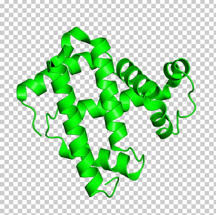 Protein Data Bank Myoglobin Protein Structure X-ray Crystallography PNG, Clipart, Area, Biochemistry, Caption, Cath Database, Crystallography Free PNG Download