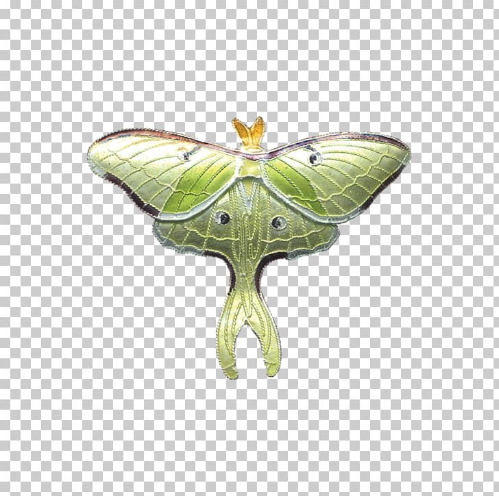 Silkworm Brush-footed Butterflies Butterfly Moth PNG, Clipart, Arthropod, Bombycidae, Brush Footed Butterfly, Butterfly, Insect Free PNG Download