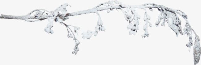 Snow-covered Branches PNG, Clipart, Branches, Branches Clipart, Pressure, Snow, Snow Covered Clipart Free PNG Download
