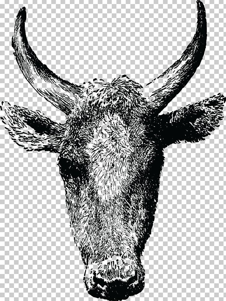 Texas Longhorn Angus Cattle Ox Bull Beef Cattle PNG, Clipart, Animals, Antler, Black And White, Calf, Cattle Free PNG Download