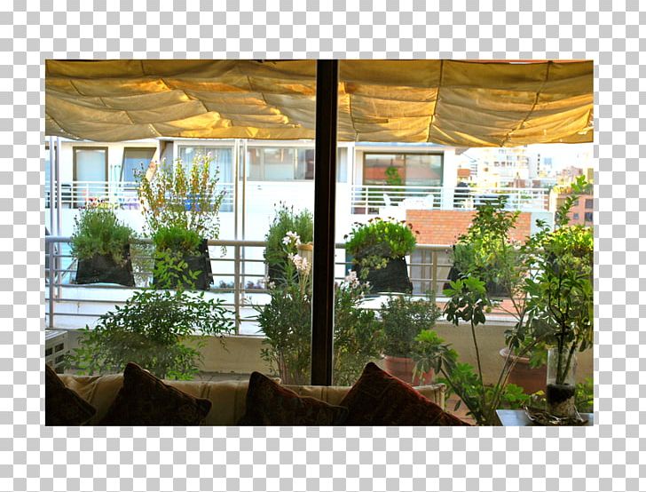 Window Tree Shade Roof Interior Design Services PNG, Clipart, Apartment, Facade, Furniture, Home, House Free PNG Download