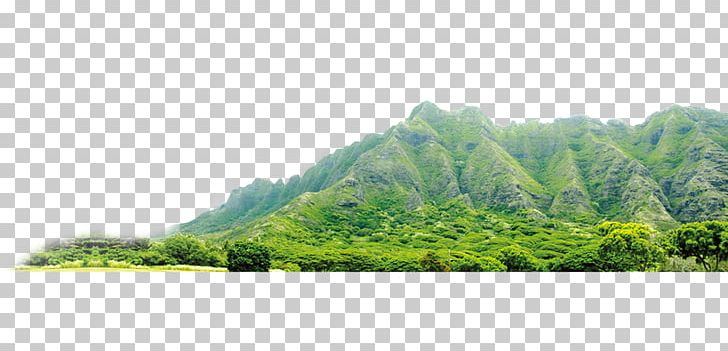 Nature 1080p High-definition Video PNG, Clipart, Brand, Castle, Christmas Decoration, Decorative, Elevation Free PNG Download