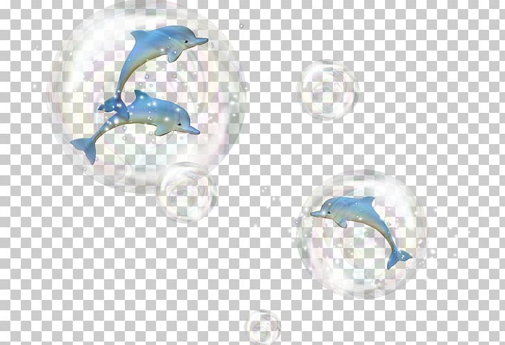Dolphin Marine Mammal PNG, Clipart, Animal, Animals, Body Jewelry, Cetacea, Dolphin Free PNG Download