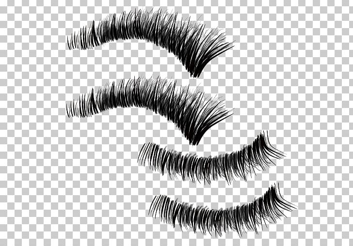 Eyelash Extensions Artificial Hair Integrations Beauty Eyebrow PNG, Clipart, Artificial Hair Integrations, Beauty, Cosmetics, Download, Eye Free PNG Download