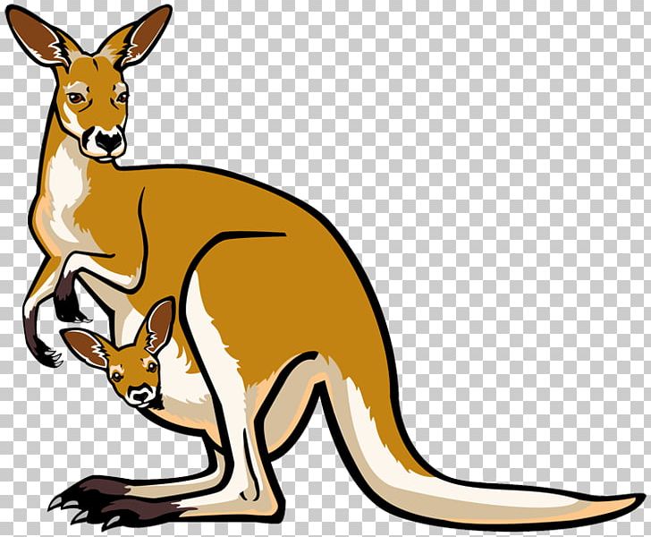 Joey Kangaroo Free Content Website PNG, Clipart, Clip Art, Document, Download, Eastern Grey Kangaroo, Fauna Free PNG Download