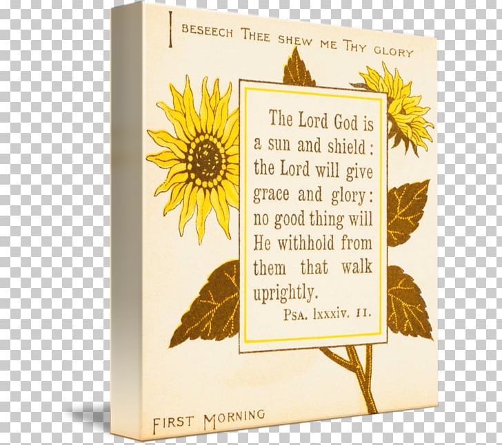 Bible Book Common Sunflower Sunflower M Poetry PNG, Clipart,  Free PNG Download