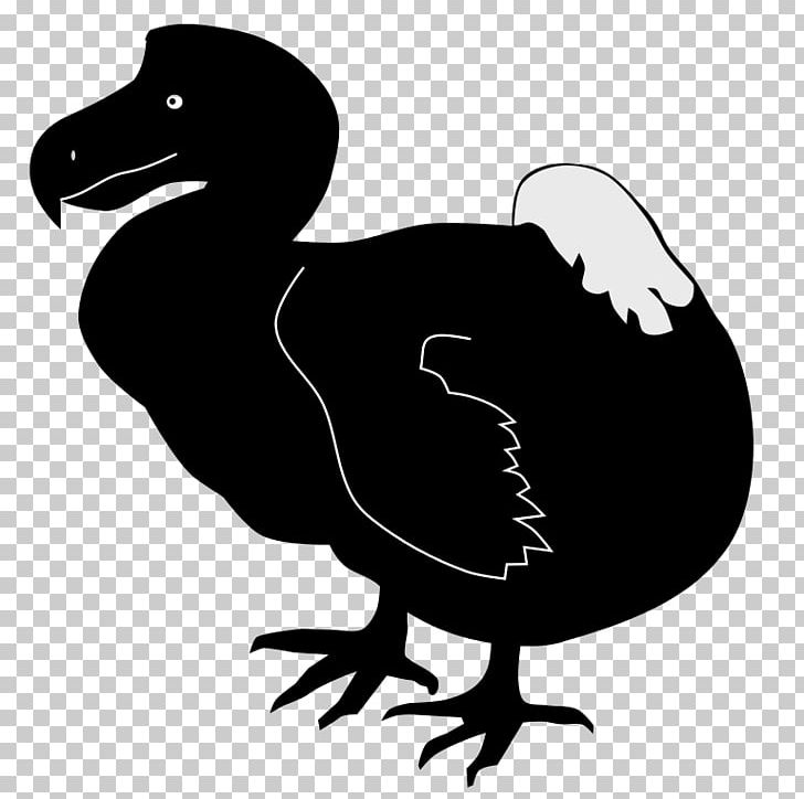 Duck Dodo Bird PNG, Clipart, Animals, Beak, Bird, Bird Extinction, Black And White Free PNG Download
