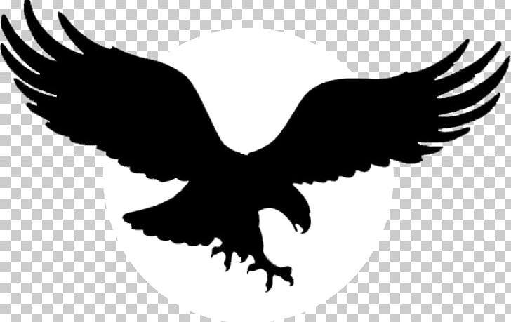 Black Eagle Silhouette White Stock Illustrations  12302 Black Eagle  Silhouette White Stock Illustrations Vectors  Clipart  Dreamstime