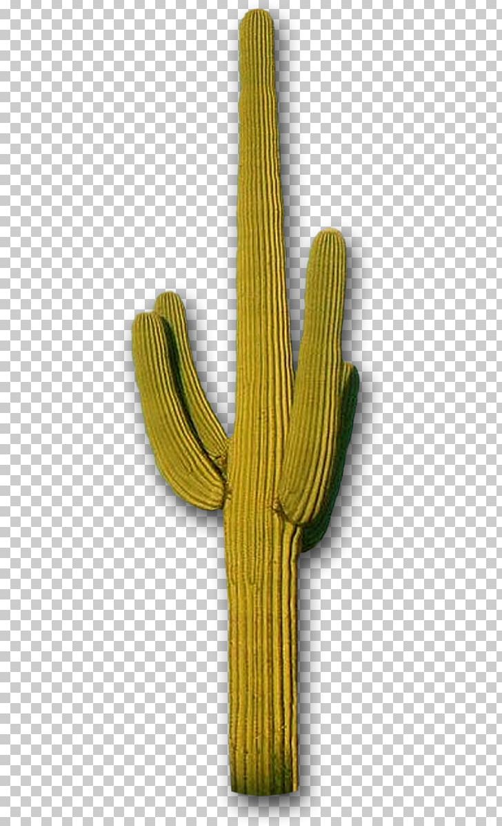 Cactaceae Saguaro Flower Gardening PNG, Clipart, Cactaceae, Cactus, Caryophyllales, Flower, Gardening Free PNG Download