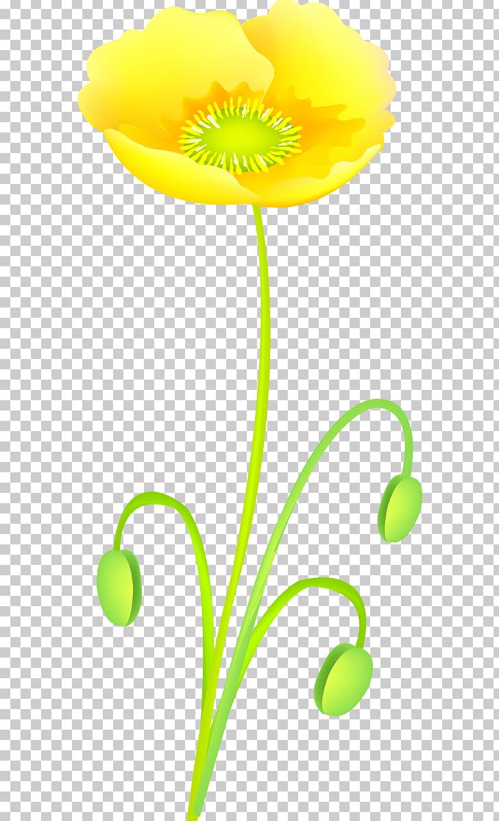 Flowering Plant Plant Stem Plants PNG, Clipart, Cicek, Cicek Resimleri, Flora, Flower, Flowering Plant Free PNG Download