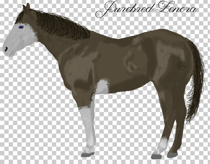 Mule Foal Stallion Mare Donkey PNG, Clipart, Colt, Donkey, Fauna, Foal, Halter Free PNG Download