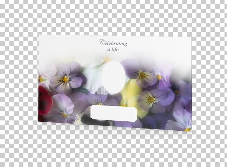 Pansy Flower Garden Flower Garden Common Daisy PNG, Clipart, Birthday, Candle, Color, Common Daisy, Computer Free PNG Download