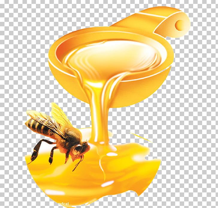 Western Honey Bee Royal Jelly Monofloral Honey PNG, Clipart, Aganetha Dyck, Bee, Beehive, Bee Pollen, Beeswax Free PNG Download