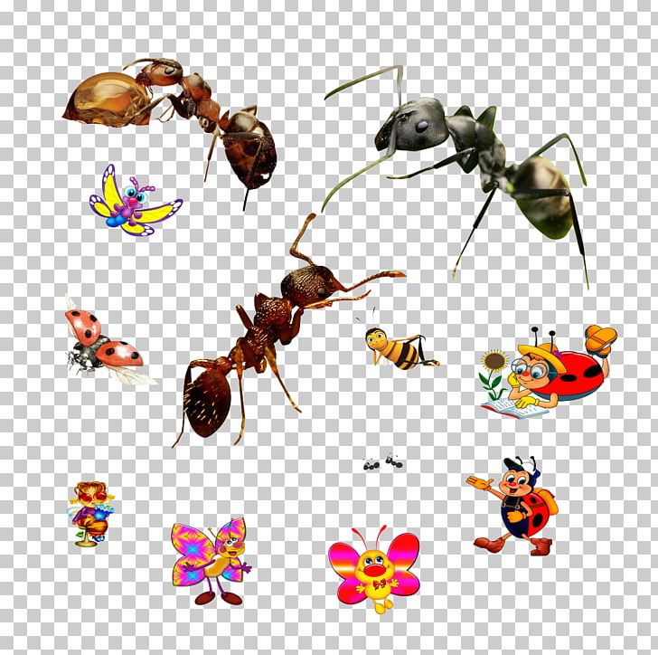 Ant Honey Bee Insect Ladybird PNG, Clipart, Ant, Ant Colony, Ants Vector, Ant Vector, Aphid Free PNG Download