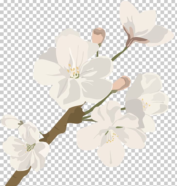 Cut Flowers Cherry Blossom Plant Stem PNG, Clipart, Blossom, Branch, Branching, Cherry, Cherry Blossom Free PNG Download