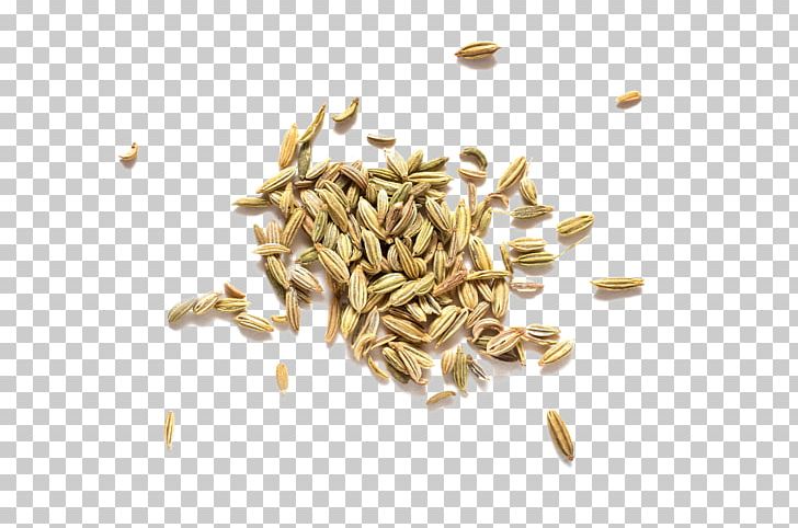 Fennel Spice Krosby AS Herb Dill PNG, Clipart, Anethum, Anise, Cereal, Cereal Germ, Commodity Free PNG Download