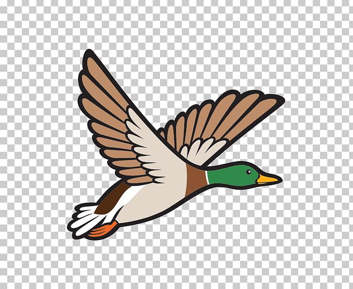 Mallard Duck Bird PNG, Clipart, Animals, Beak, Bird, Clip Art, Computer Icons Free PNG Download