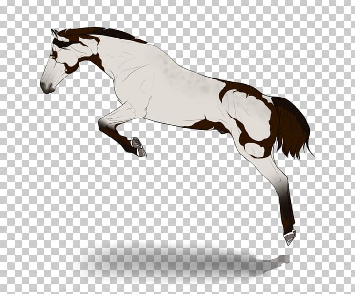 Mane Pony Stallion Mustang PNG, Clipart, Artist, Bit, Colt, Deviantart, English Riding Free PNG Download