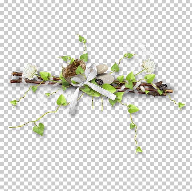 Branch Others Plant Stem PNG, Clipart, Branch, Desktop Wallpaper, Download, Floral Design, Flower Free PNG Download