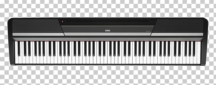Digital Piano Keyboard Korg SP-280 Musical Instruments PNG, Clipart, Computer Component, Digital Piano, Electric Piano, Electronic Device, Input Device Free PNG Download