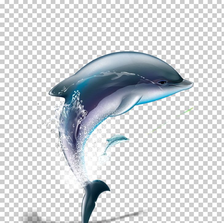 Dolphin Computer File PNG, Clipart, Animals, Cute Dolphin, Dolphine, Dolphins, Encapsulated Postscript Free PNG Download