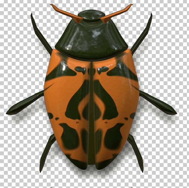 Insect Animal Arthropod PNG, Clipart, Animal, Animals, Arthropod, Banco De Imagens, Beetle Free PNG Download