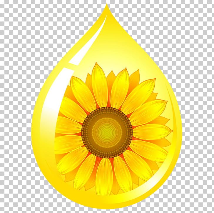 Sunflower Oil Cooking Oils Vegetable Oil Food PNG, Clipart, Circle, Common Sunflower, Cooking, Cooking, Corn Oil Free PNG Download