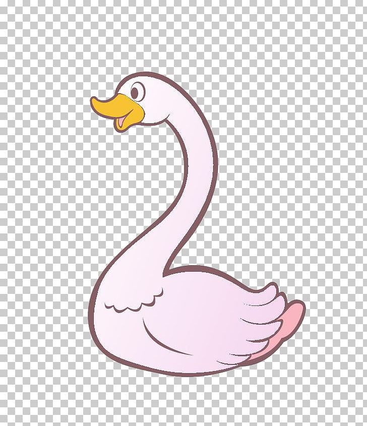 tundra swan black swan trumpeter swan whooper swan png clipart animals art balloon cartoon beak bird tundra swan black swan trumpeter swan