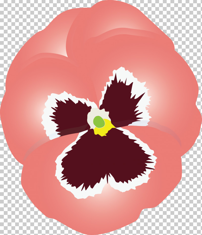 PANSY Spring Flower PNG, Clipart, Cattleya, Flower, Pansy, Petal, Pink Free PNG Download