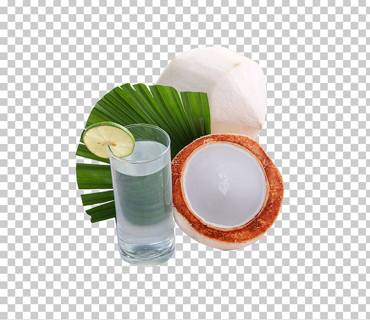 Coconut Milk Thai Cuisine PNG, Clipart, Background Green, Coconut, Coconut Tree, Copra, Copra Plantations In New Guinea Free PNG Download
